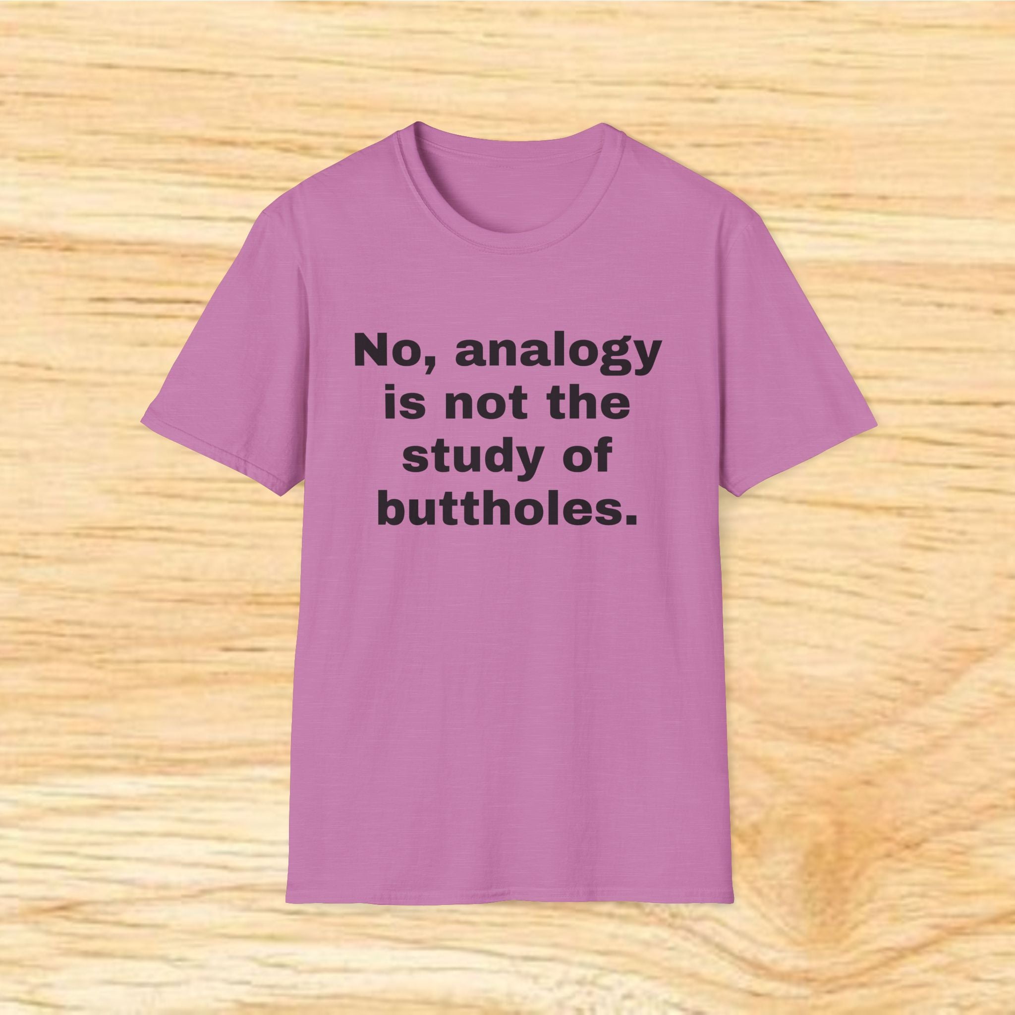 "No, analogy is not the study of buttholes." Funny Novelty Tee