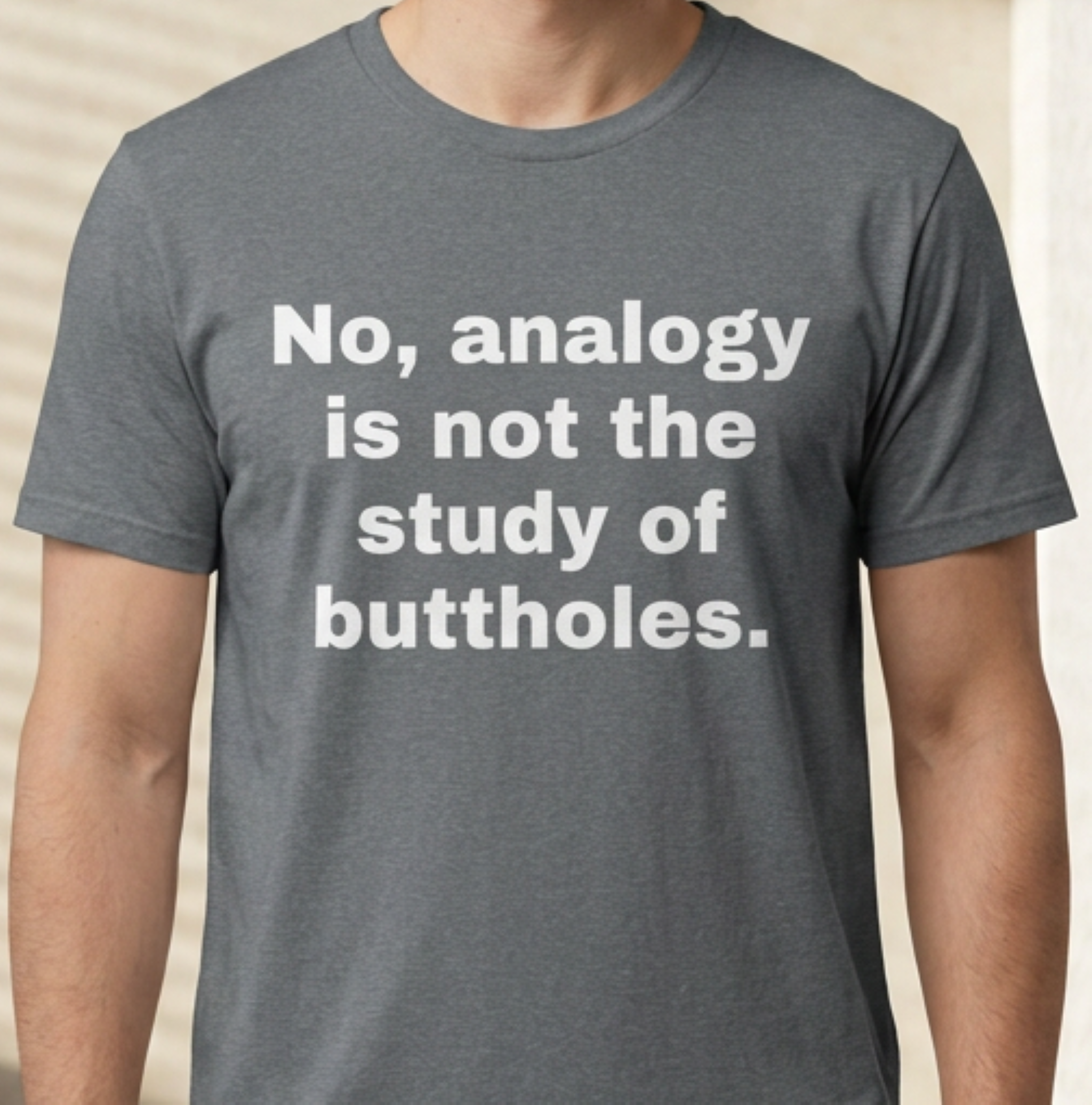 "No, analogy is not the study of buttholes." Funny Novelty Tee