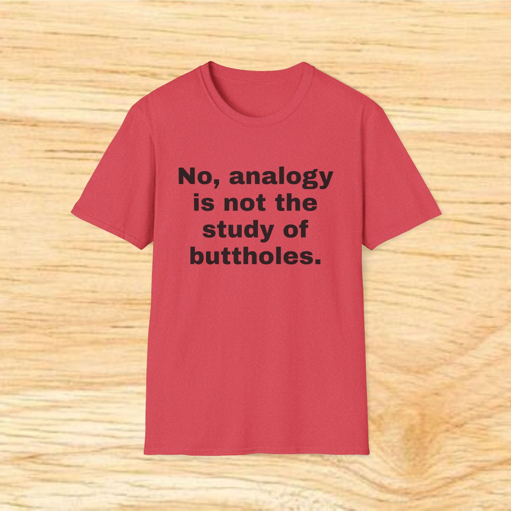 "No, analogy is not the study of buttholes." Funny Novelty Tee